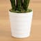 2ft. UV Resistant Artificial Snake Plant in White Decorative Planter